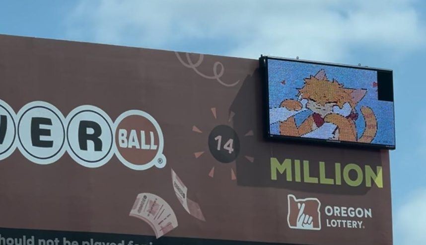 俄勒冈州彩票，黑客攻击，小猫，猫动画，Daktronics